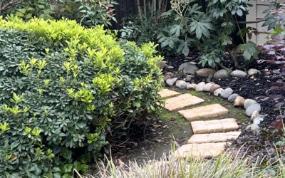 Spring Landscaping Sacramento: What Homeowners Should Do in March